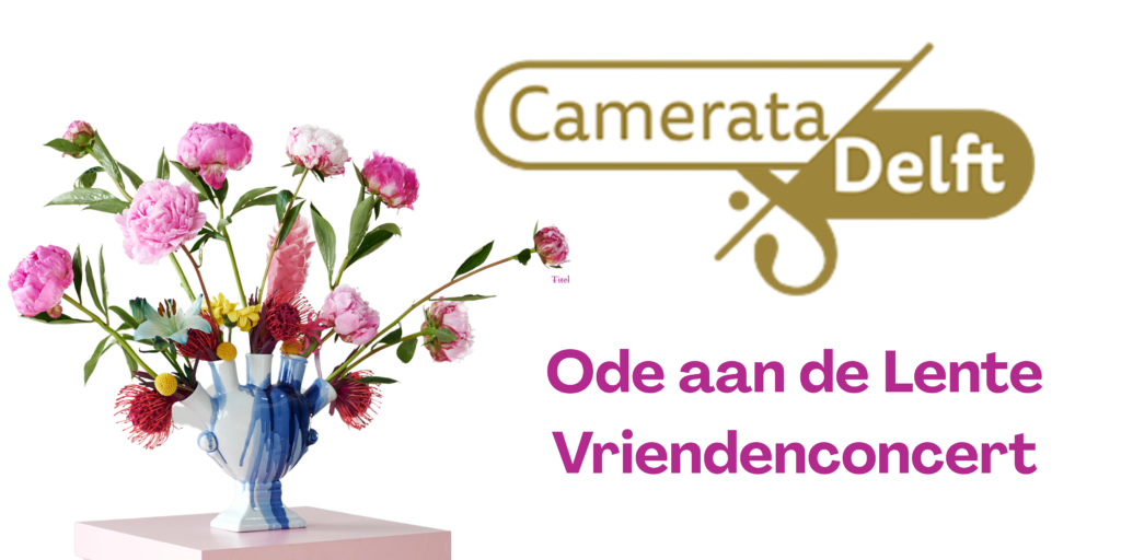 Camerata Delft Vriendenconcert